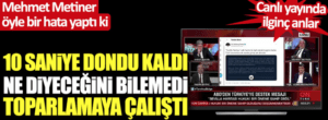 Read more about the article İstanbul/Yeşilköy’e kadar ordularıyla kim gelmişti; Mısır mı, yoksa Rusya mı?
