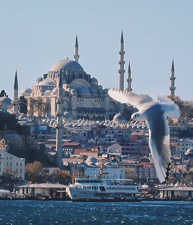 You are currently viewing Din -İslam- tartışılır, insanların imanlarının sorgulanmasına yol açılır ise kim/ne kaybeder?