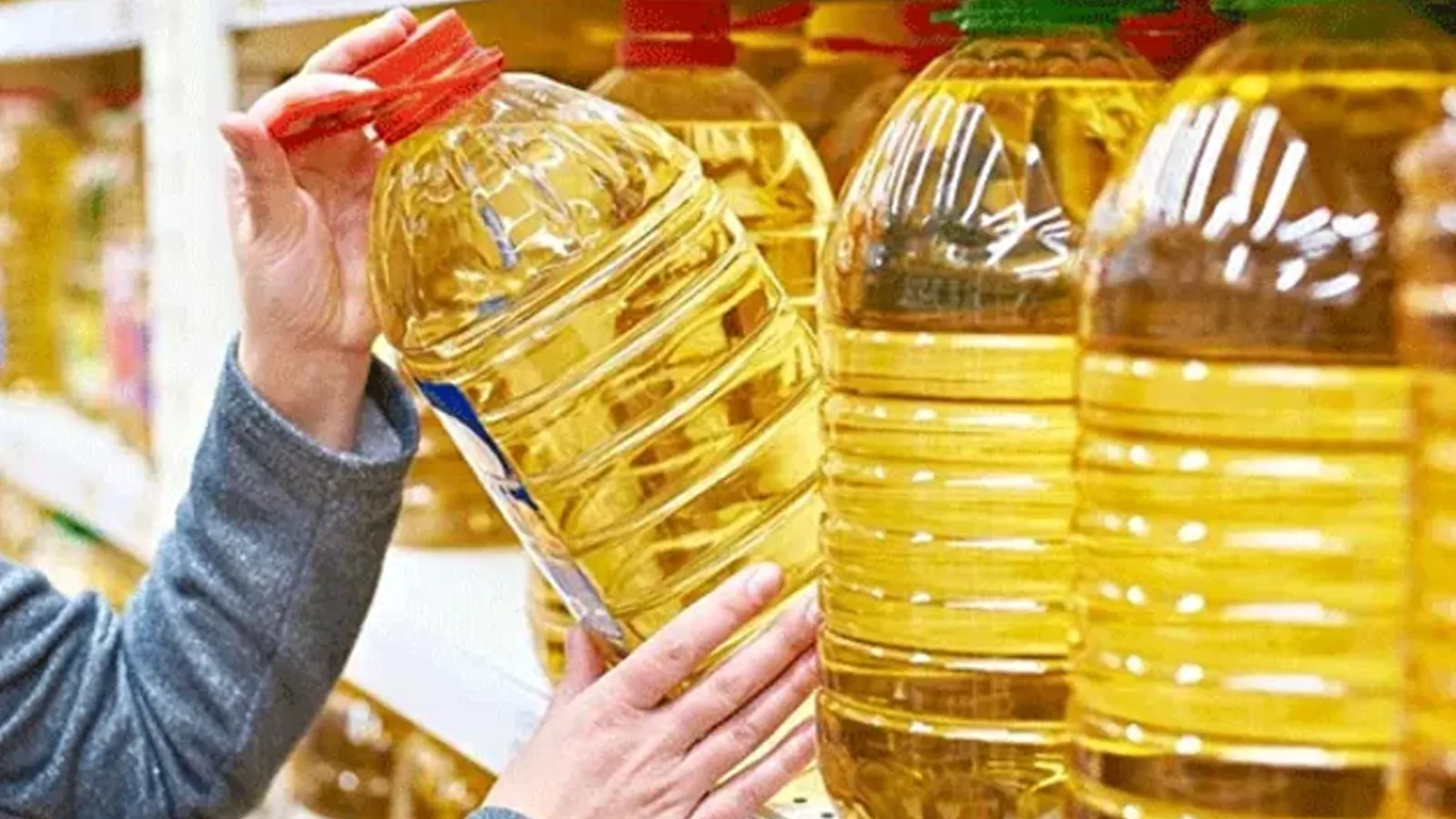 You are currently viewing Ayçiçek yağı neden pahalı, insanlarımız ve iki dev uçağımız neden Ukrayna’da mahsur? Cevabı bu yazıda…