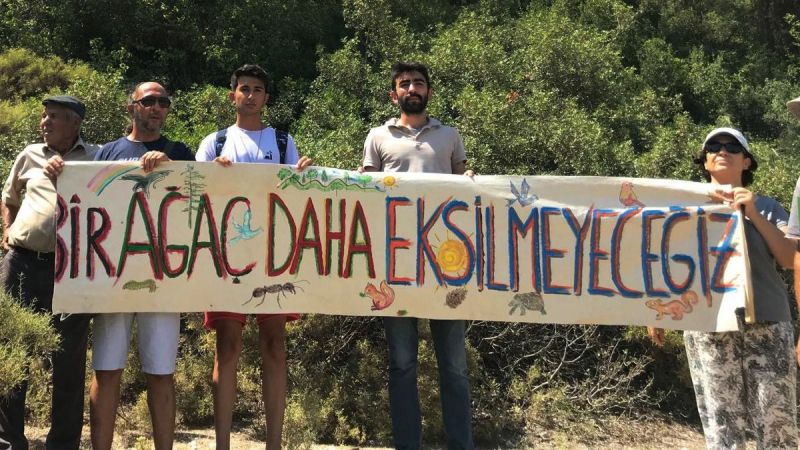 You are currently viewing Yangınlar yetmezmiş gibi, bir de Milas Akbelen ormanında insan eliyle tahribat…