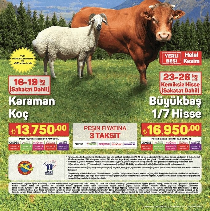 You are currently viewing Kurban bayramınız kutlu olsun…